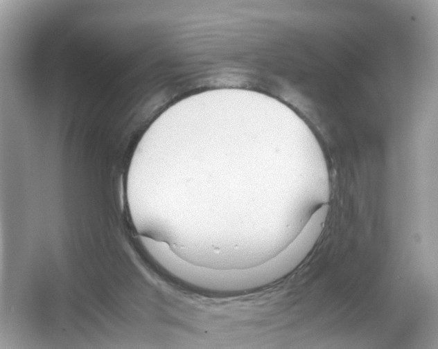 X0000066000013200603312009