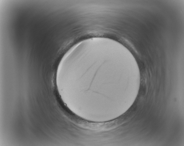 X0000066000023200603312008