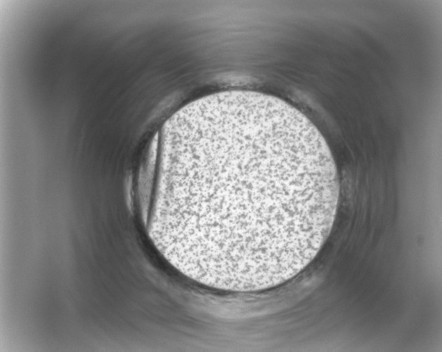 X0000066000024200603312008