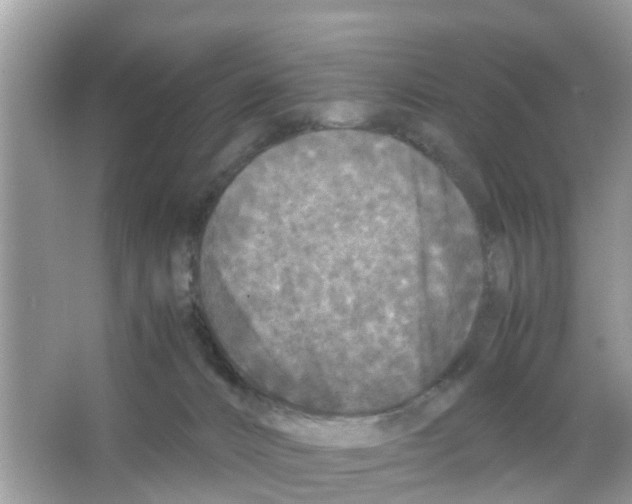 X0000066000032200603312008