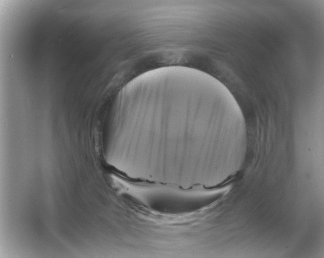 X0000066000035200603312008