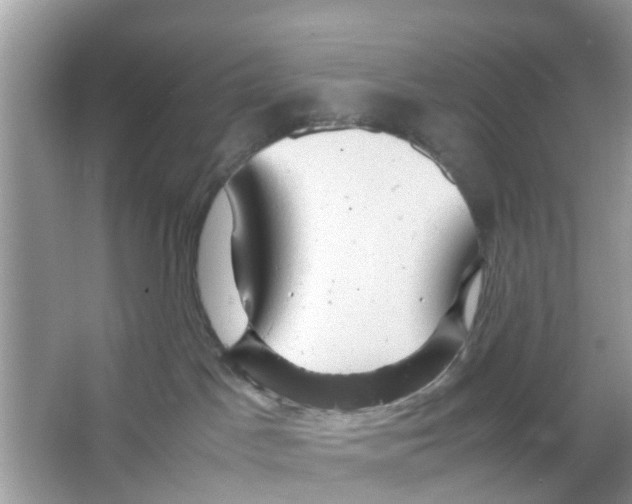 X0000066000045200603312008