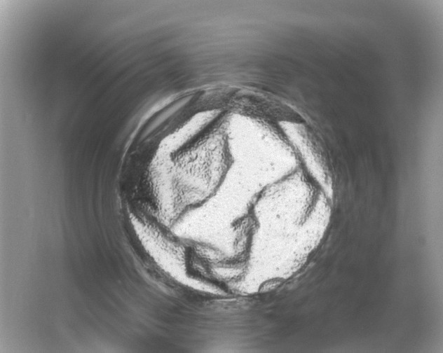 X0000066000050200603312007