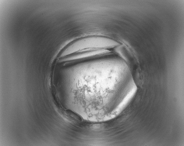 X0000066000060200603312007