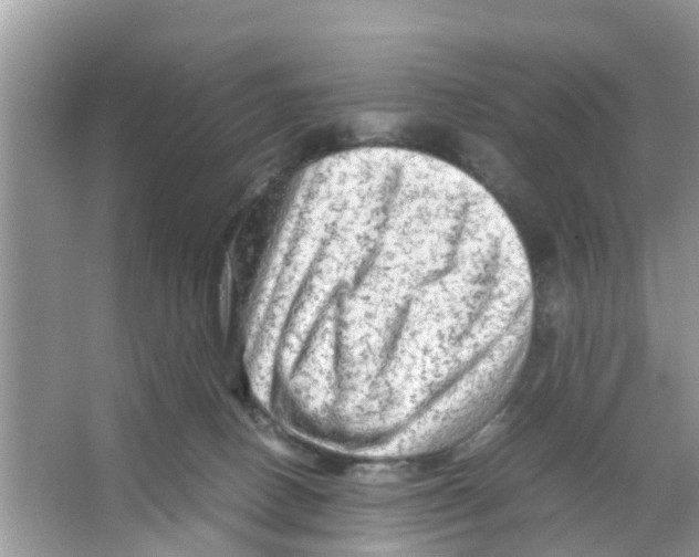 X0000066000082200603312008