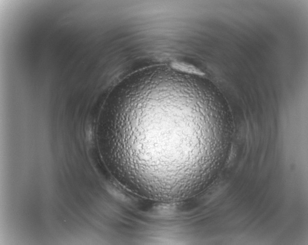 X0000066000084200603312008