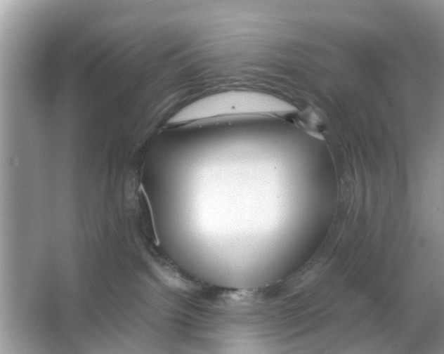 X0000066000092200603312008
