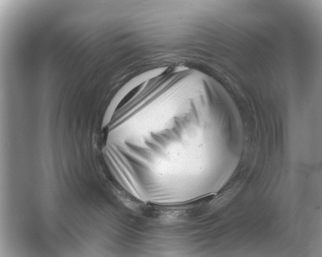 X0000066000096200603312008