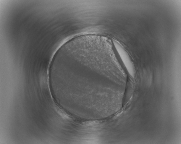X0000066000100200603312007