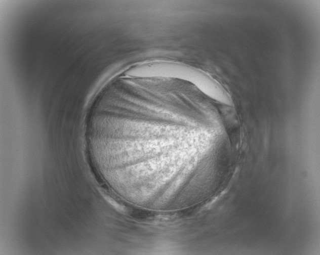 X0000066000101200603312007