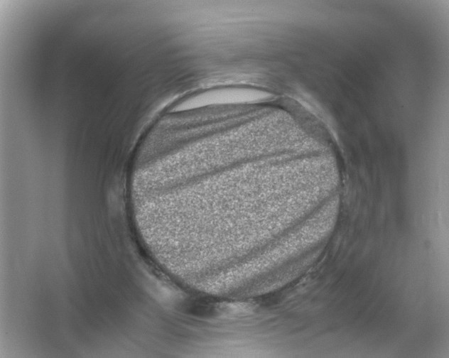 X0000066000107200603312007