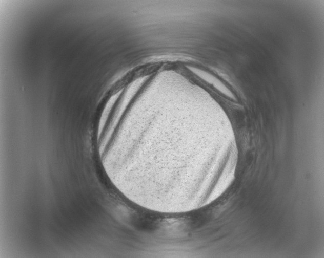 X0000066000111200603312007