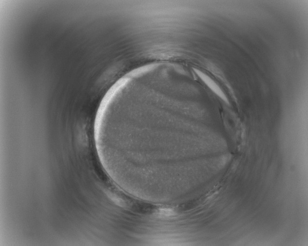 X0000066000114200603312007