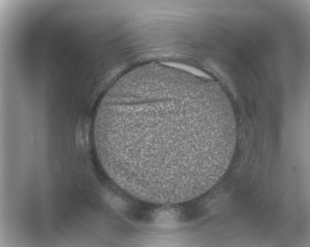X0000066000115200603312007