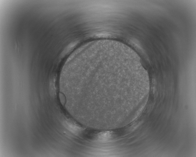 X0000066000116200603312007