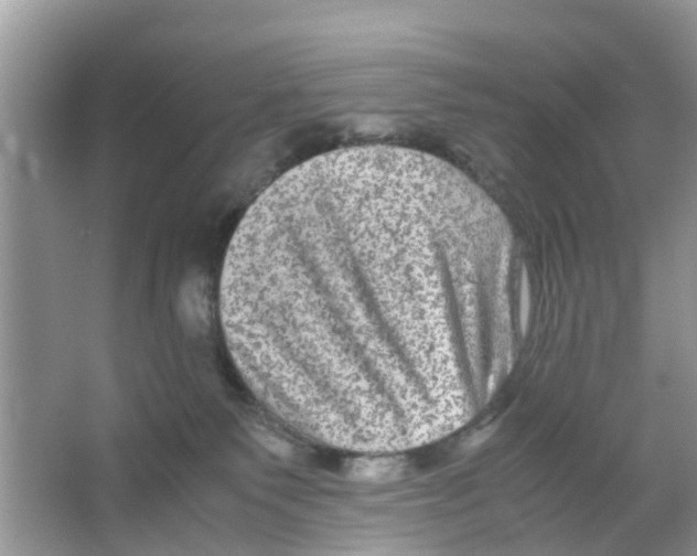 X0000066000135200603312007