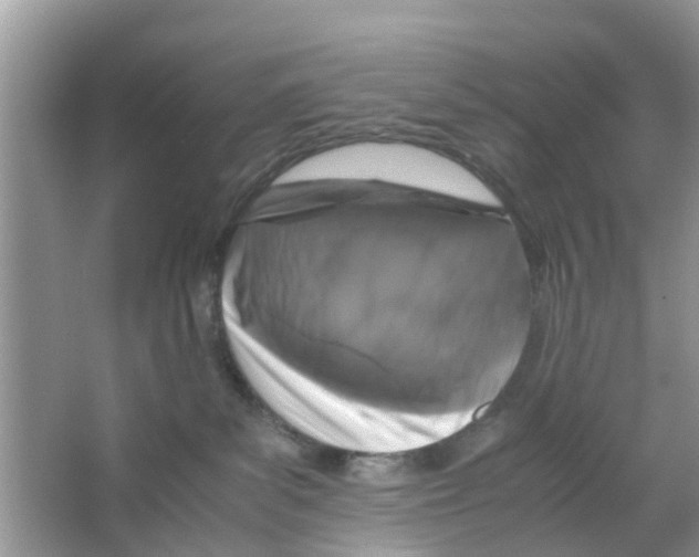X0000066000139200603312007