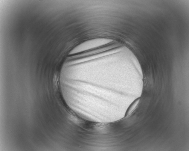 X0000066000142200603312006