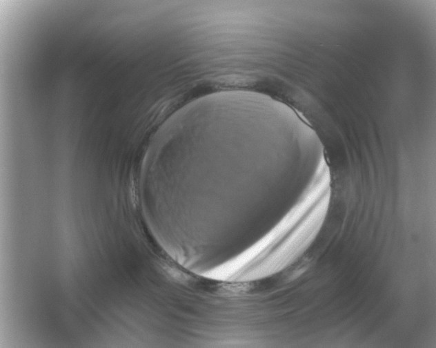X0000066000143200603312006