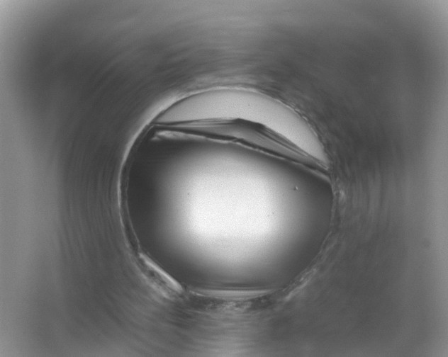 X0000066000148200603312006