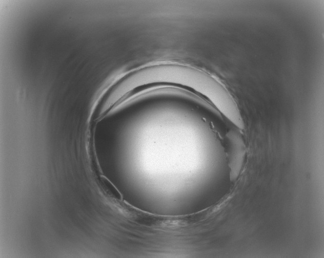 X0000066000152200603312006