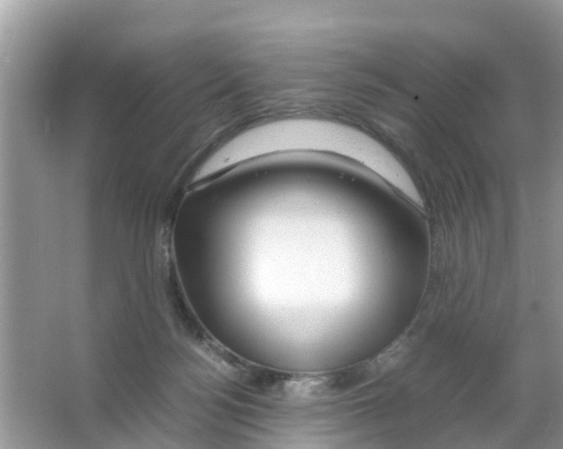 X0000066000172200603312006