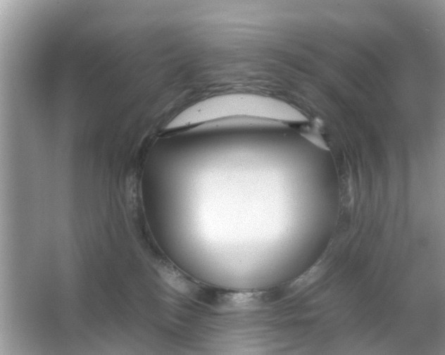 X0000066000184200603312006