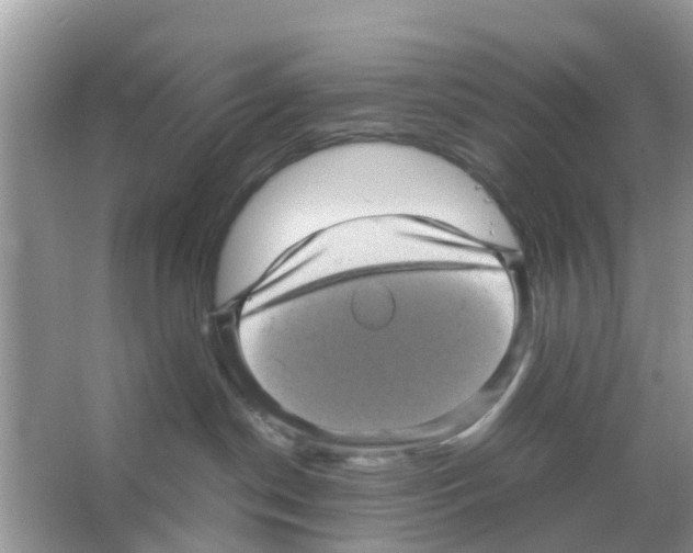 X0000066000190200603312006
