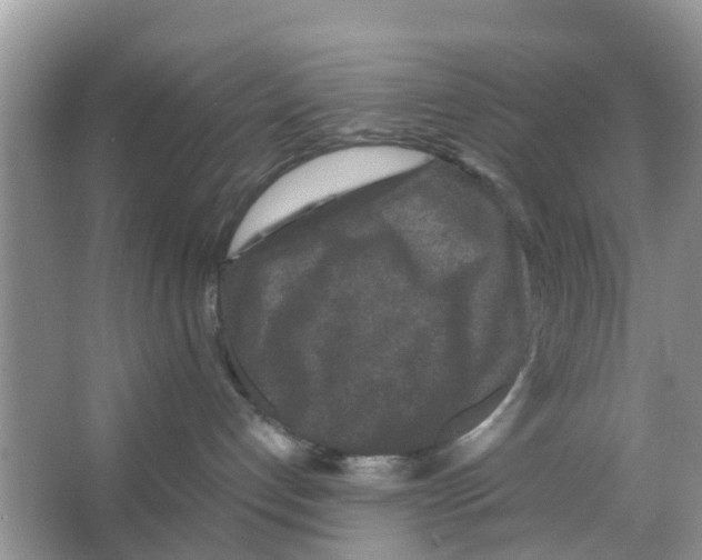 X0000066000192200603312006