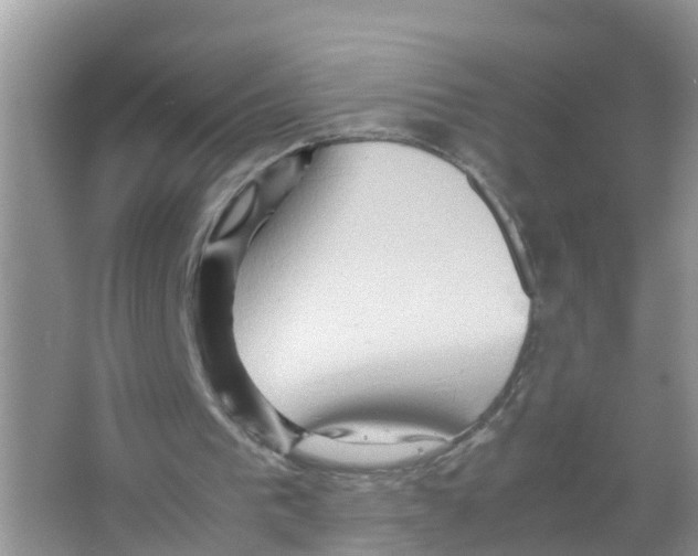 X0000066000193200603312006