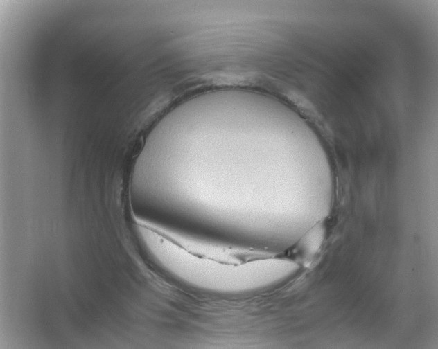X0000066000201200603312005