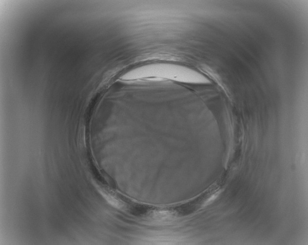 X0000066000205200603312005