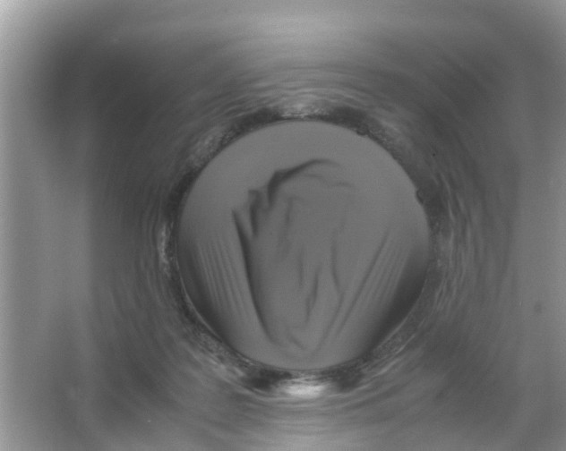 X0000066000219200603312005
