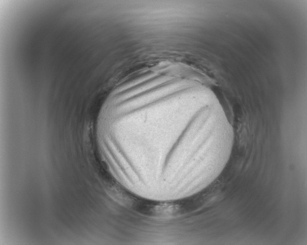 X0000066000225200603312005