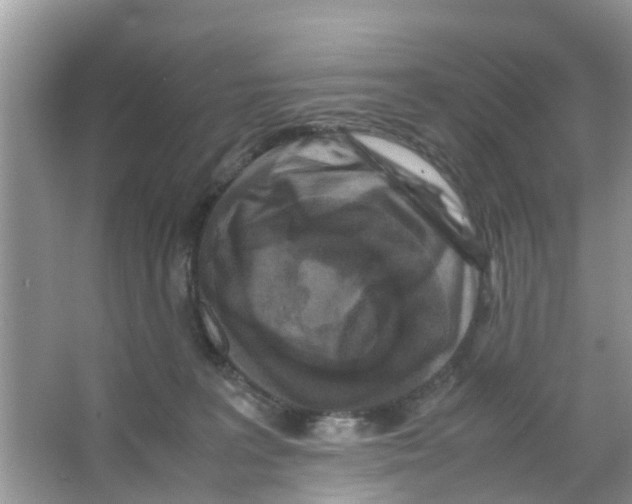 X0000066000227200603312005