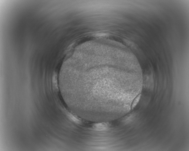 X0000066000238200603312005
