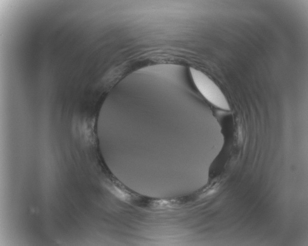 X0000066000239200603312005