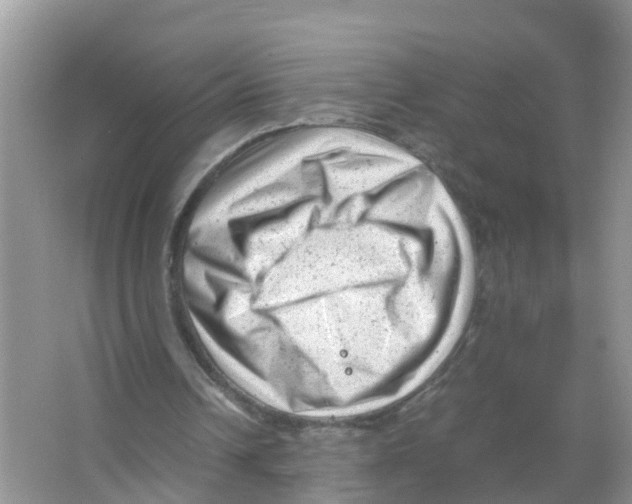 X0000066000242200603312004