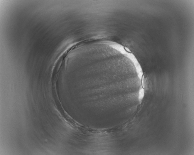 X0000066000243200603312004