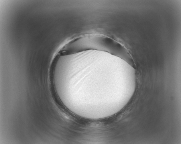 X0000066000248200603312004