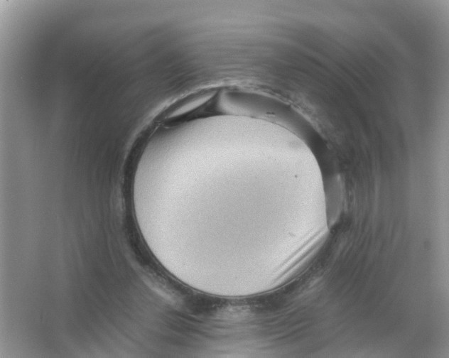 X0000066000252200603312004