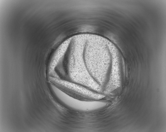 X0000066000253200603312004