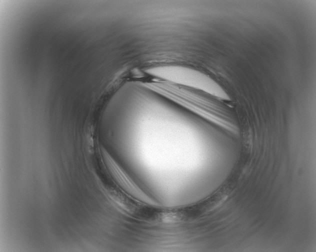 X0000066000264200603312004