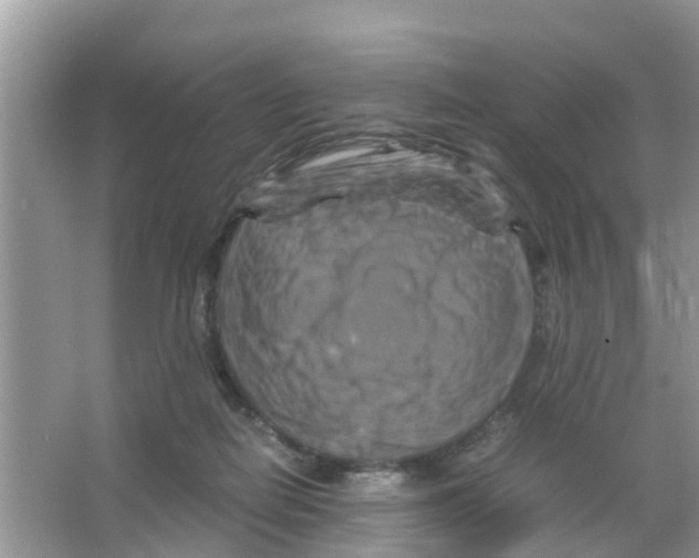 X0000066000266200603312004