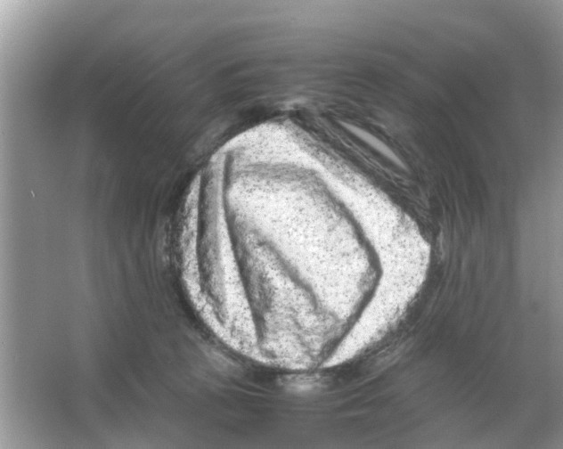X0000066000273200603312005