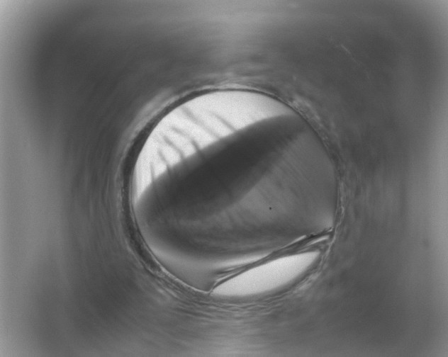 X0000066000295200603312004