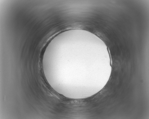 X0000066000338200603312002