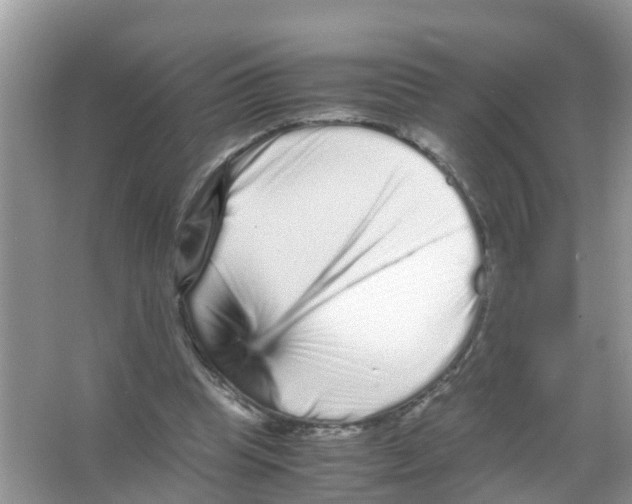 X0000066000345200603312003