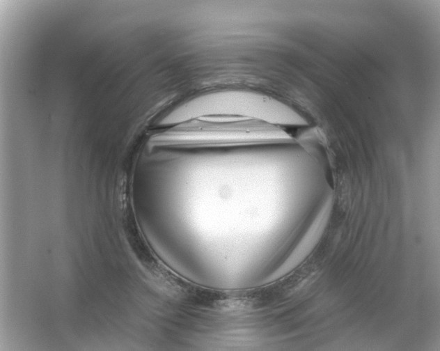X0000066000356200603312003