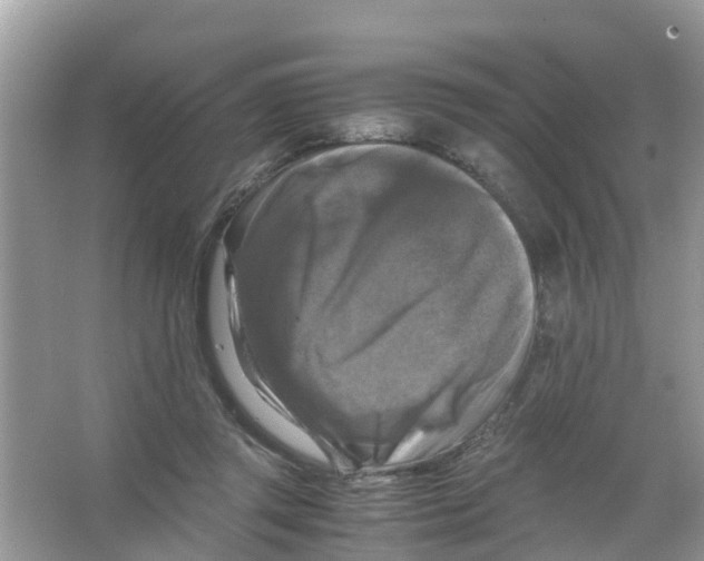 X0000066000357200603312003